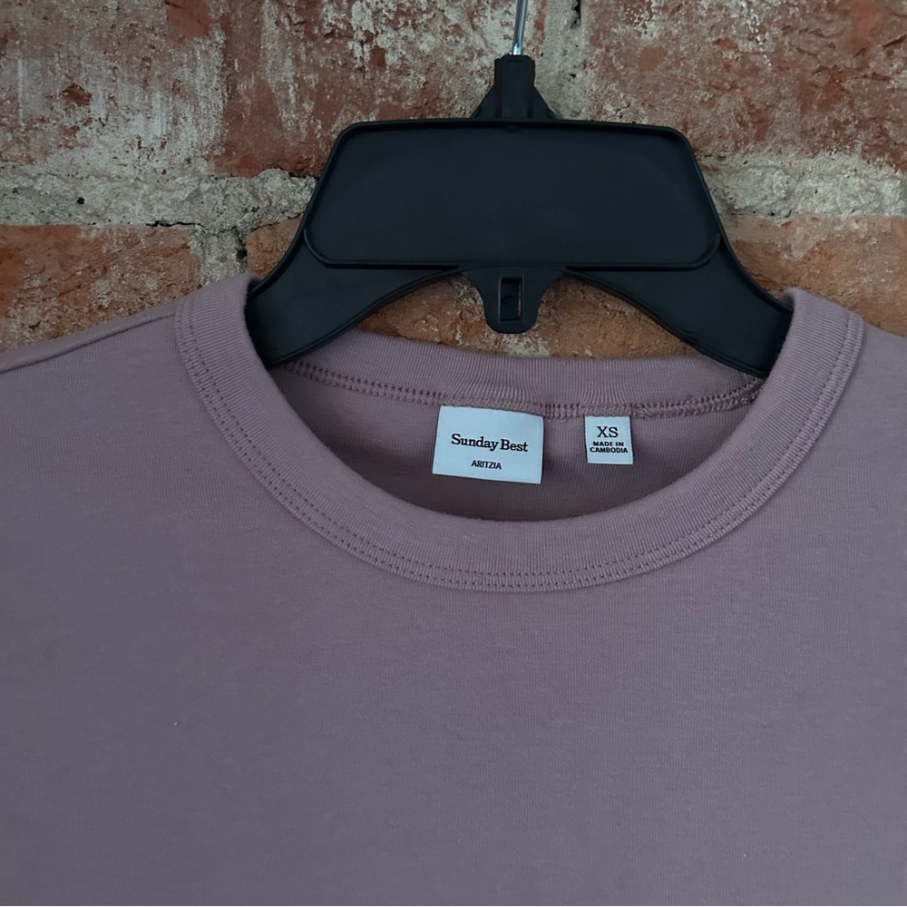 Aritzia Sunday Best Little Ribbed Tee - Picture 2 of 3